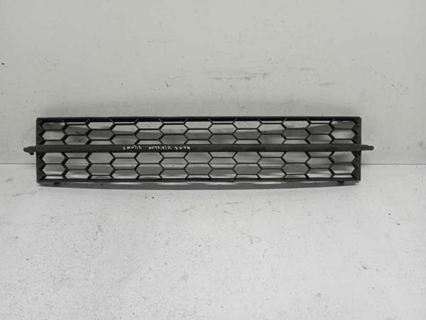 GRILLE DE PARE CHOC AVANT CENTRE SKODA - Vue 1